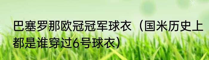 巴塞罗那欧冠冠军球衣（国米历史上都是谁穿过6号球衣）