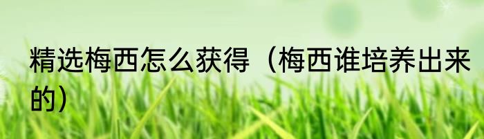 精选梅西怎么获得（梅西谁培养出来的）