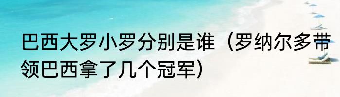巴西大罗小罗分别是谁（罗纳尔多带领巴西拿了几个冠军）