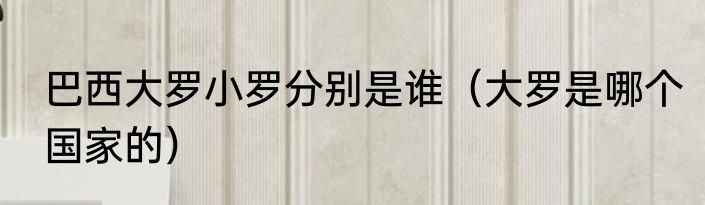 巴西大罗小罗分别是谁（大罗是哪个国家的）