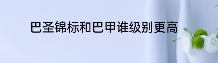 巴圣锦标和巴甲谁级别更高