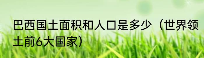 巴西国土面积和人口是多少（世界领土前6大国家）