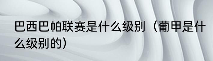 巴西巴帕联赛是什么级别（葡甲是什么级别的）