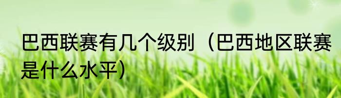 巴西联赛有几个级别（巴西地区联赛是什么水平）