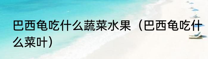 巴西龟吃什么蔬菜水果（巴西龟吃什么菜叶）