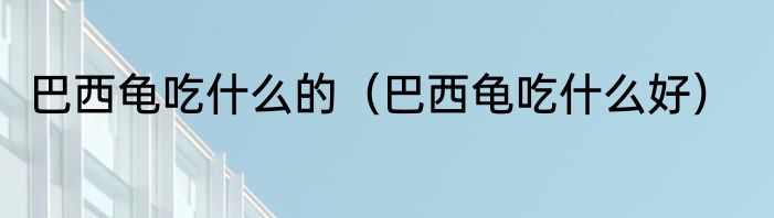 巴西龟吃什么的（巴西龟吃什么好）