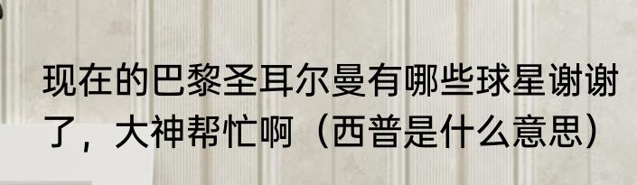 现在的巴黎圣耳尔曼有哪些球星谢谢了，大神帮忙啊（西普是什么意思）