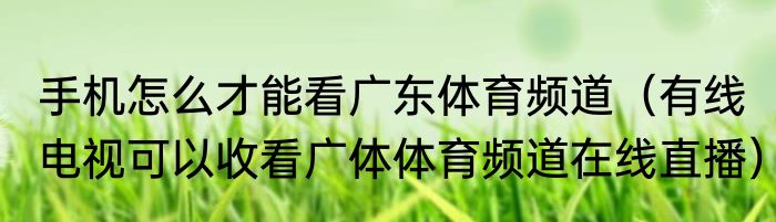手机怎么才能看广东体育频道（有线电视可以收看广体体育频道在线直播）