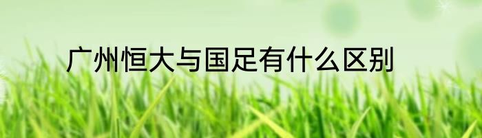 广州恒大与国足有什么区别