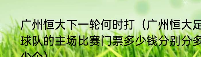 广州恒大下一轮何时打（广州恒大足球队的主场比赛门票多少钱分别分多少个）
