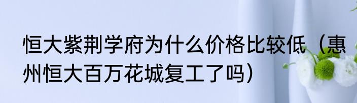 恒大紫荆学府为什么价格比较低（惠州恒大百万花城复工了吗）