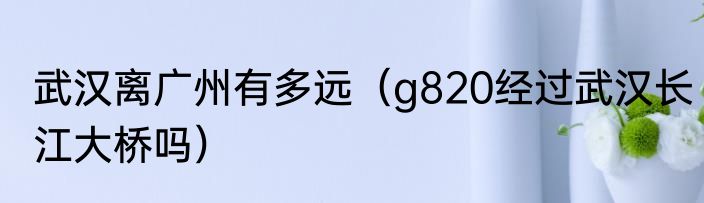 武汉离广州有多远（g820经过武汉长江大桥吗）