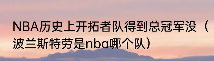 NBA历史上开拓者队得到总冠军没（波兰斯特劳是nba哪个队）