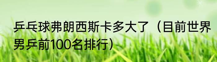 乒乓球弗朗西斯卡多大了（目前世界男乒前100名排行）