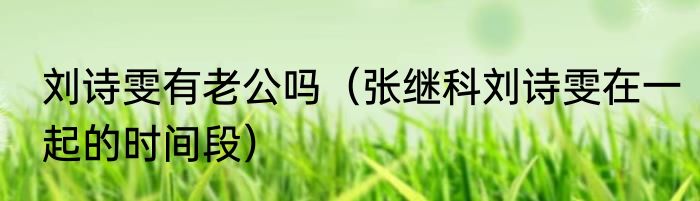 刘诗雯有老公吗（张继科刘诗雯在一起的时间段）