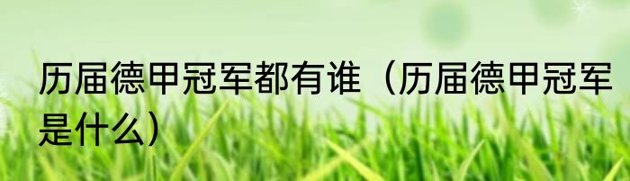历届德甲冠军都有谁（历届德甲冠军是什么）