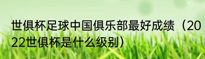 世俱杯足球中国俱乐部最好成绩（2022世俱杯是什么级别）