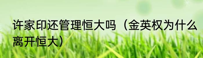 许家印还管理恒大吗（金英权为什么离开恒大）