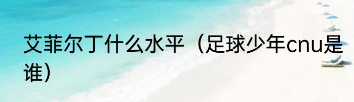 艾菲尔丁什么水平（足球少年cnu是谁）