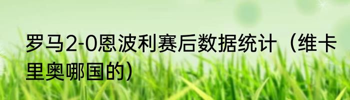 罗马2-0恩波利赛后数据统计（维卡里奥哪国的）