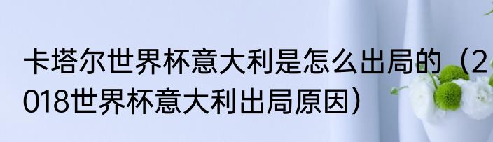卡塔尔世界杯意大利是怎么出局的（2018世界杯意大利出局原因）
