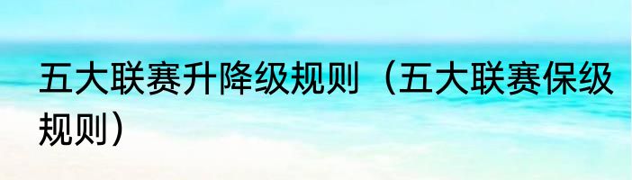 五大联赛升降级规则（五大联赛保级规则）