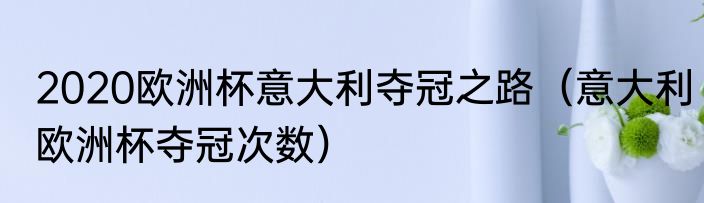2020欧洲杯意大利夺冠之路（意大利欧洲杯夺冠次数）