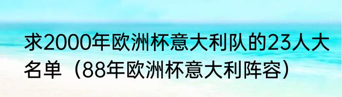 求2000年欧洲杯意大利队的23人大名单（88年欧洲杯意大利阵容）