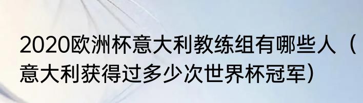 2020欧洲杯意大利教练组有哪些人（意大利获得过多少次世界杯冠军）