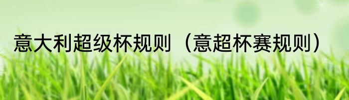 意大利超级杯规则（意超杯赛规则）