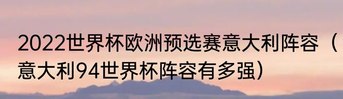 2022世界杯欧洲预选赛意大利阵容（意大利94世界杯阵容有多强）