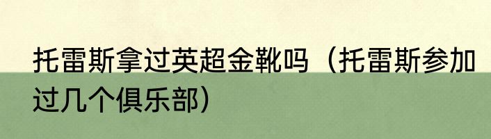 托雷斯拿过英超金靴吗（托雷斯参加过几个俱乐部）