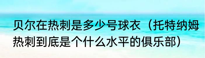 贝尔在热刺是多少号球衣（托特纳姆热刺到底是个什么水平的俱乐部）