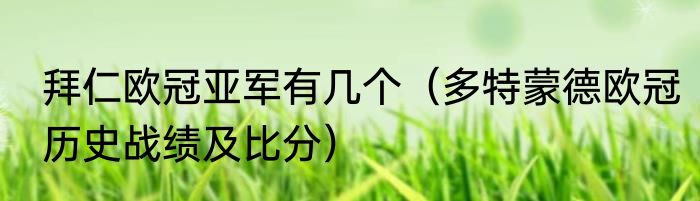 拜仁欧冠亚军有几个（多特蒙德欧冠历史战绩及比分）