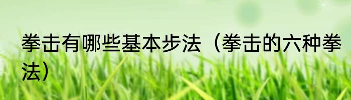 拳击有哪些基本步法（拳击的六种拳法）