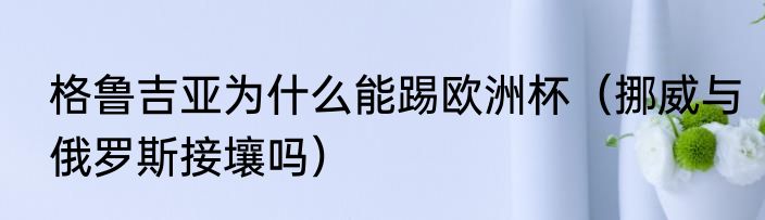 格鲁吉亚为什么能踢欧洲杯（挪威与俄罗斯接壤吗）