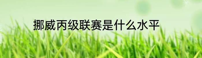 挪威丙级联赛是什么水平