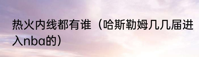 热火内线都有谁（哈斯勒姆几几届进入nba的）