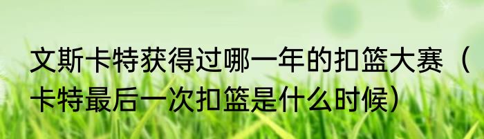 文斯卡特获得过哪一年的扣篮大赛（卡特最后一次扣篮是什么时候）