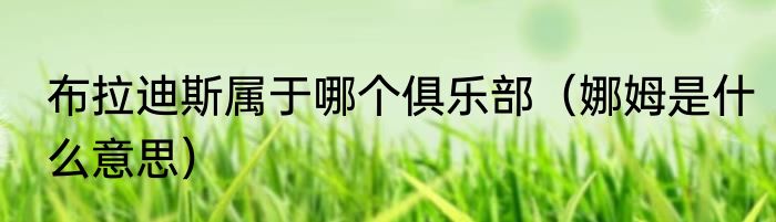 布拉迪斯属于哪个俱乐部（娜姆是什么意思）