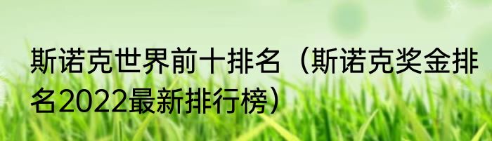 斯诺克世界前十排名（斯诺克奖金排名2022最新排行榜）