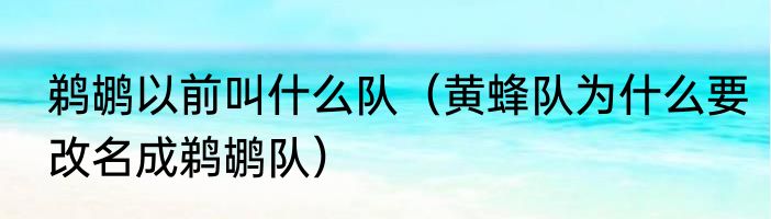鹈鹕以前叫什么队（黄蜂队为什么要改名成鹈鹕队）