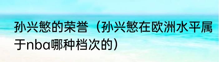 孙兴慜的荣誉（孙兴慜在欧洲水平属于nba哪种档次的）