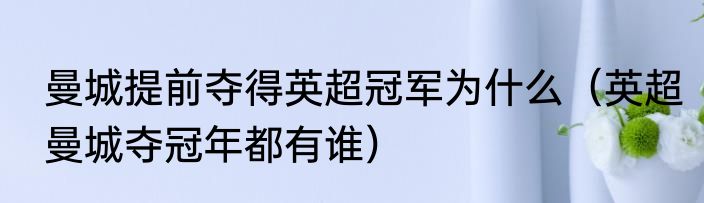 曼城提前夺得英超冠军为什么（英超曼城夺冠年都有谁）
