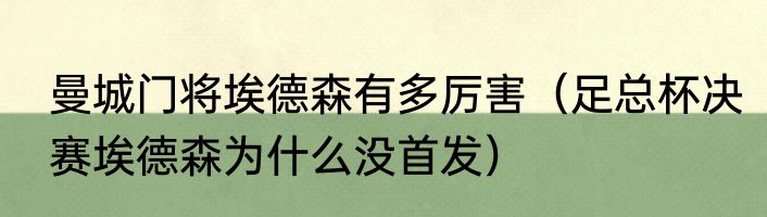 曼城门将埃德森有多厉害（足总杯决赛埃德森为什么没首发）