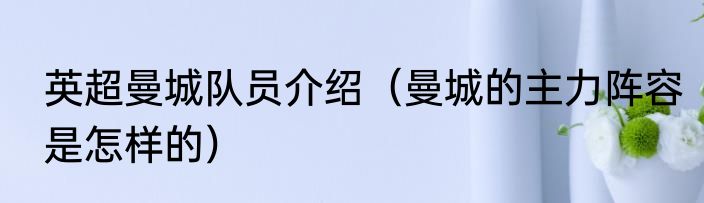 英超曼城队员介绍（曼城的主力阵容是怎样的）