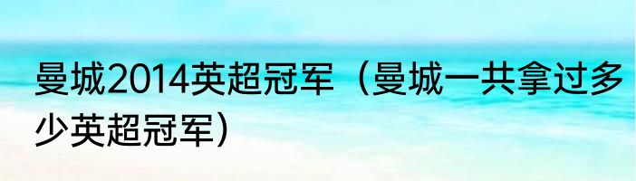 曼城2014英超冠军（曼城一共拿过多少英超冠军）