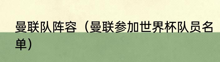 曼联队阵容（曼联参加世界杯队员名单）