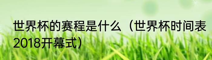 世界杯的赛程是什么（世界杯时间表2018开幕式）