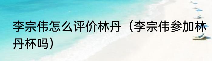 李宗伟怎么评价林丹（李宗伟参加林丹杯吗）